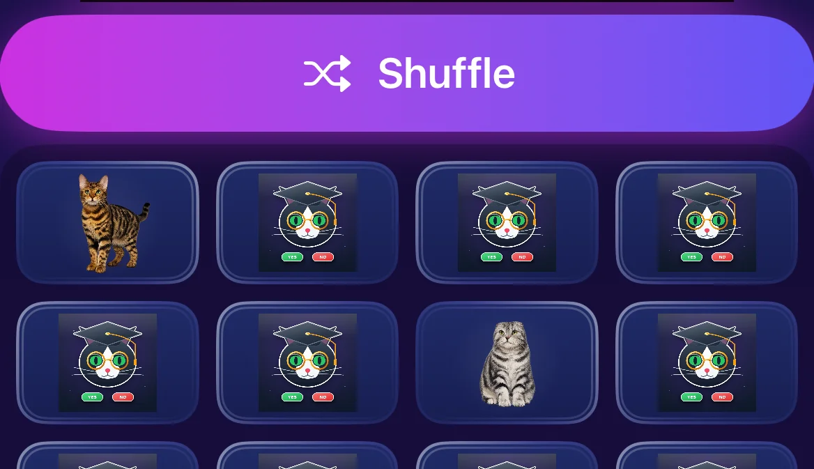 Matching Pairs Banner