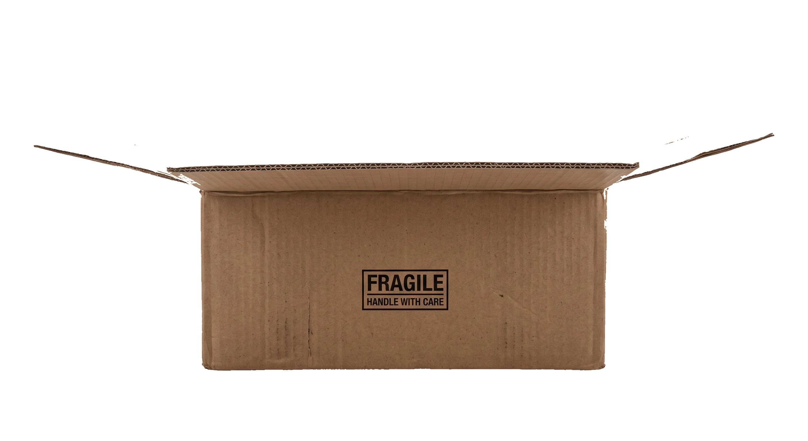 Magic Cat Box